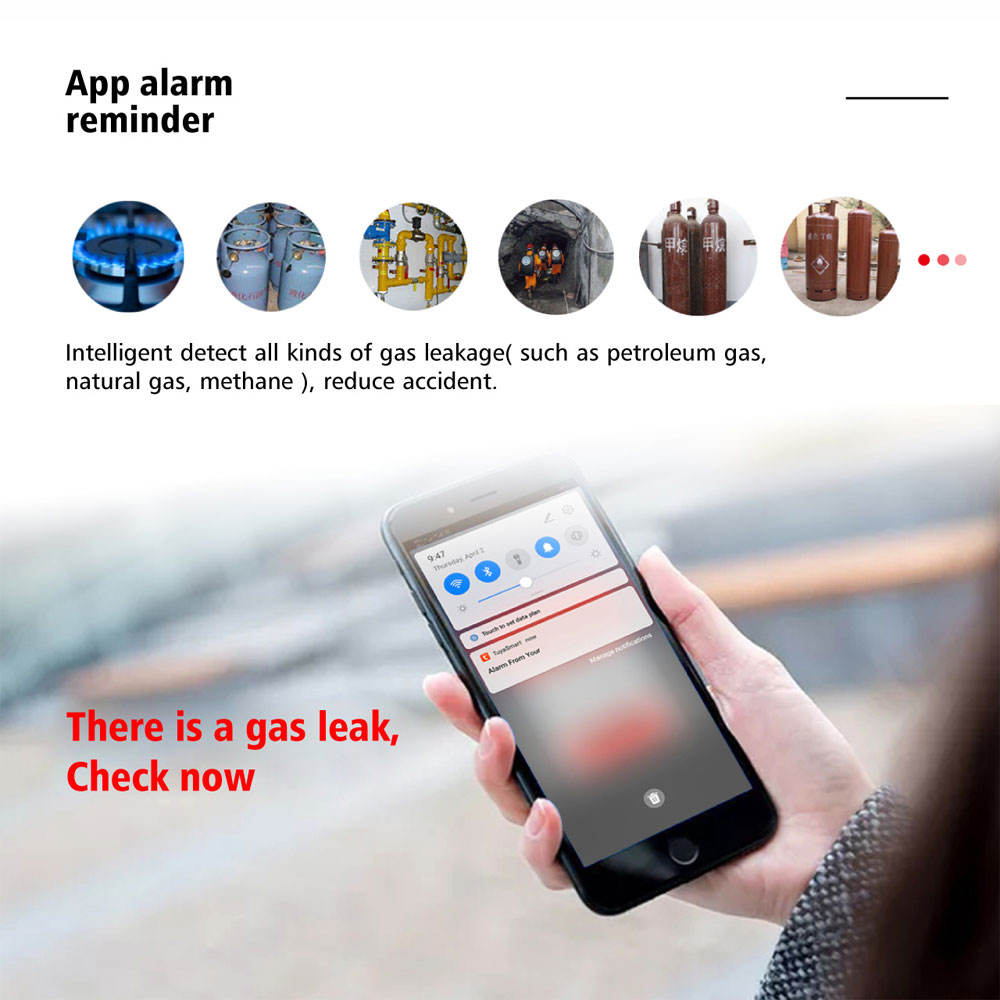 Candle Smart WiFi Gas Leak Sensor