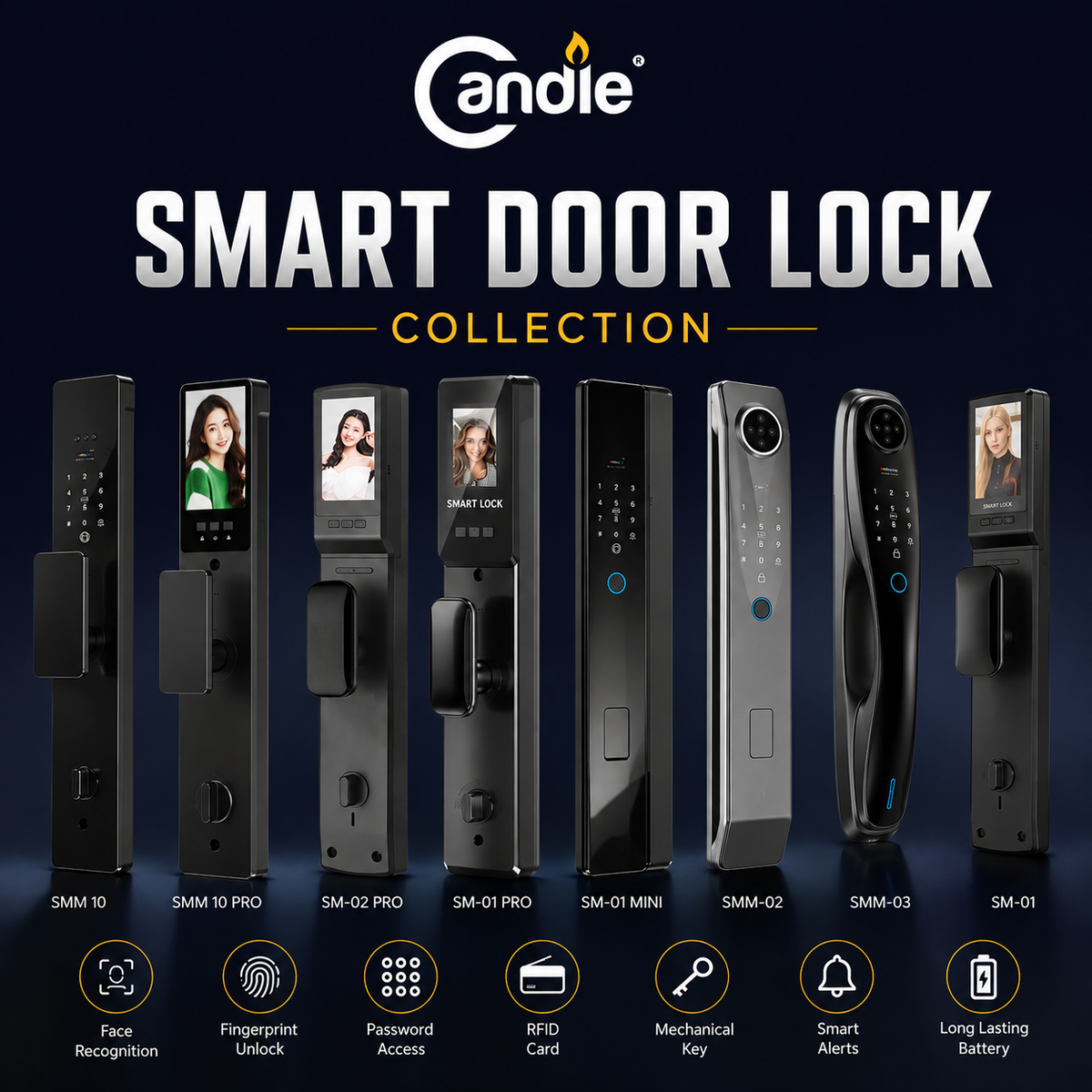 Smart Door Locks