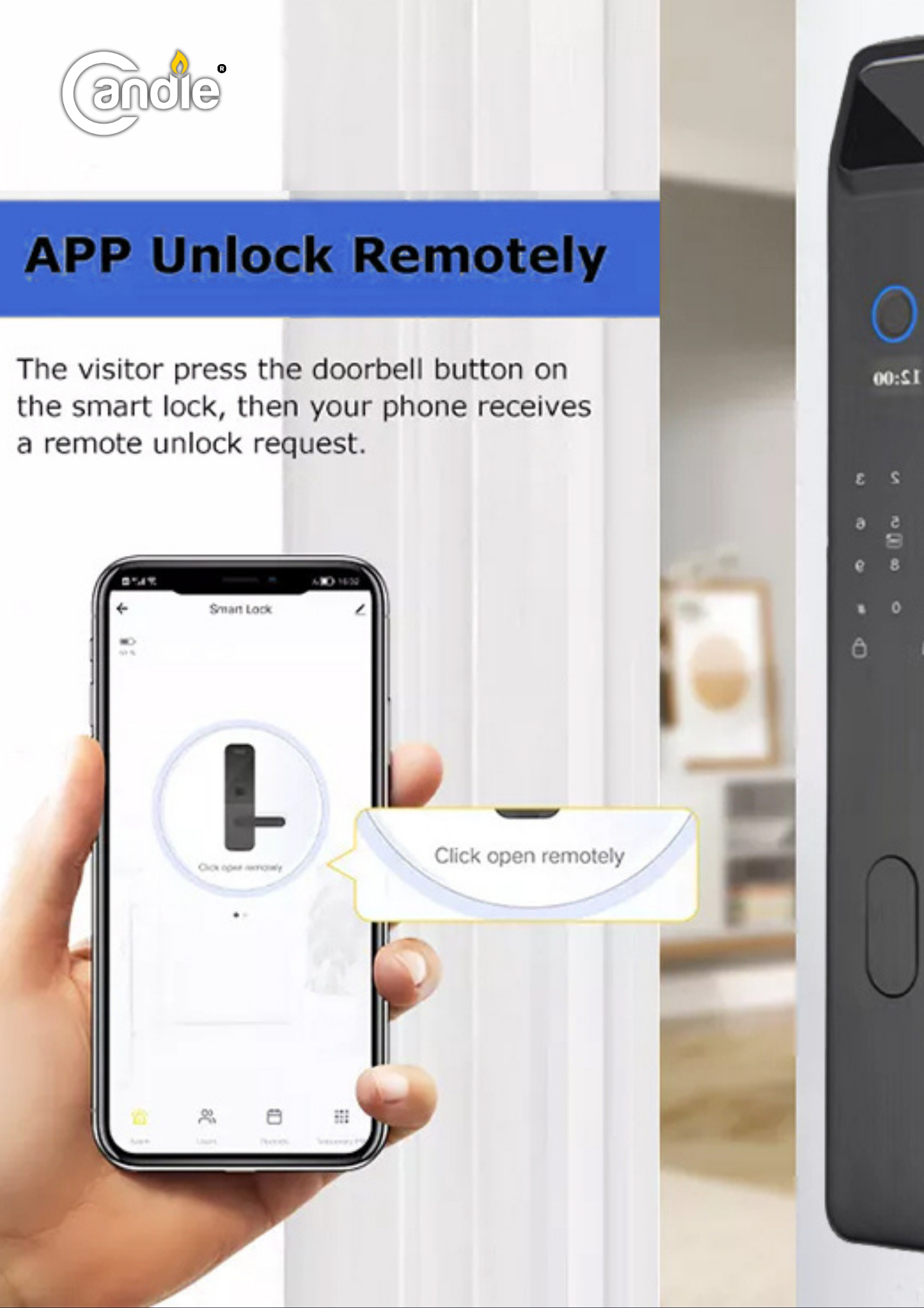 Candle AcX SDL-SM-02
