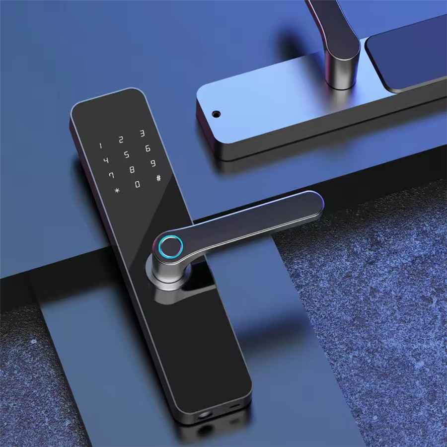 Candle AcX SDL EX-02