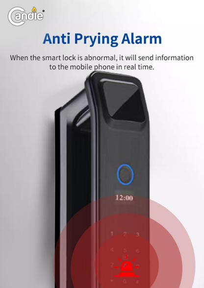 Candle AcX SDL-SM-02