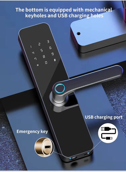 Candle AcX SDL EX-02