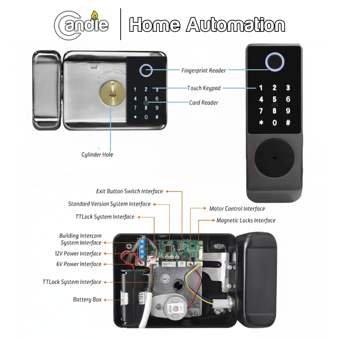 ACX SDL MX - 01 - XX