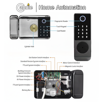 ACX SDL MX - 01 - XX