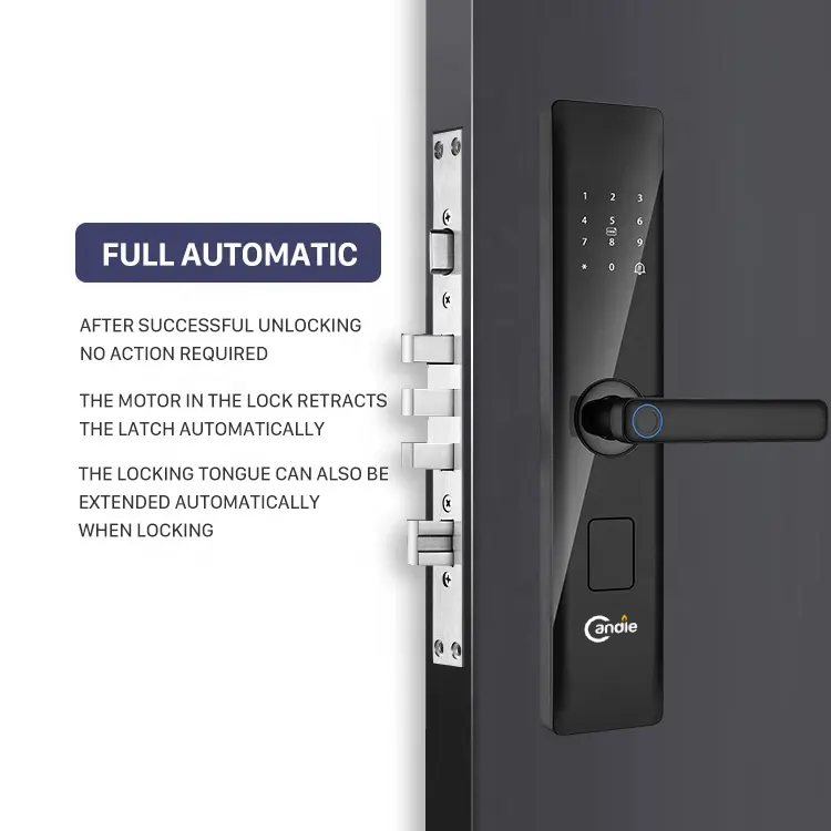 Candle Smart Lock EX-05