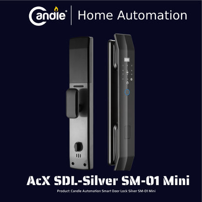 AcX SDL Silver SM-01 Mini