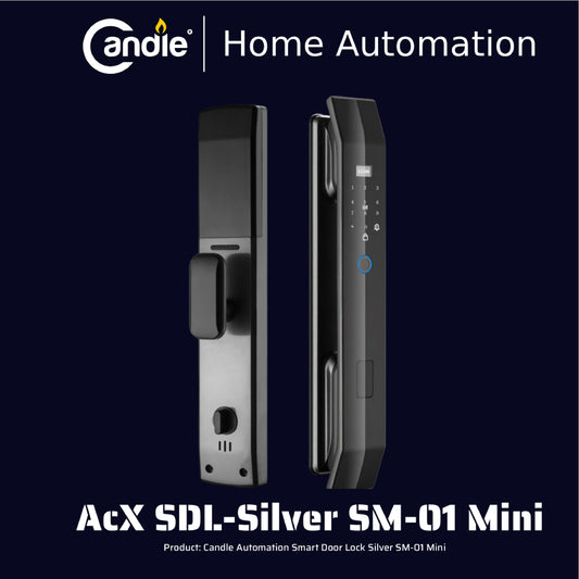 AcX SDL Silver SM-01 Mini