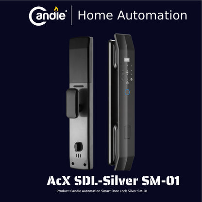 AcX SDL Silver SM-01