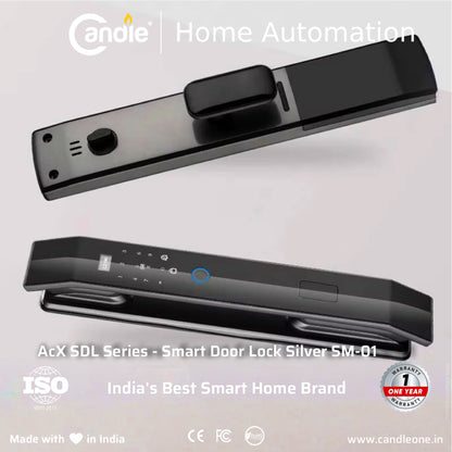 AcX SDL Silver SM-01