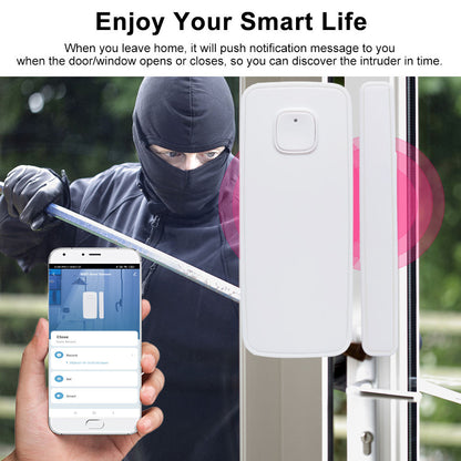 Candle Smart WiFi Door Sensor DS05