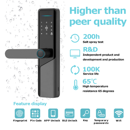 Candle AcX SDL-EX-02
