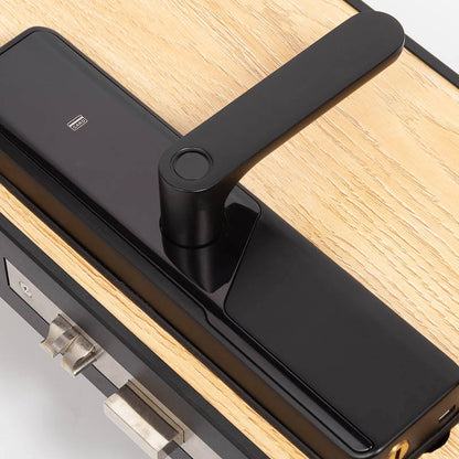 Candle AcX SDL-EX-02